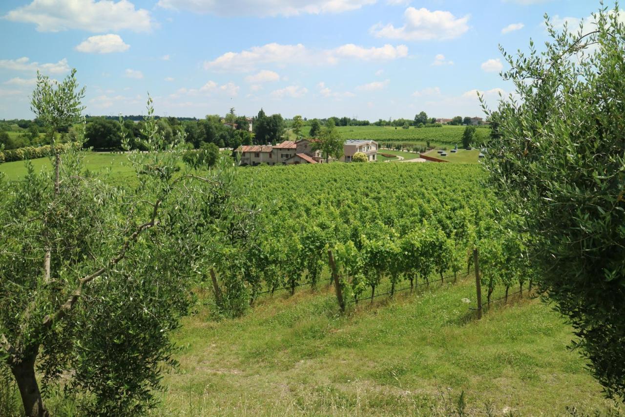 Cobue Wine Resort&spa