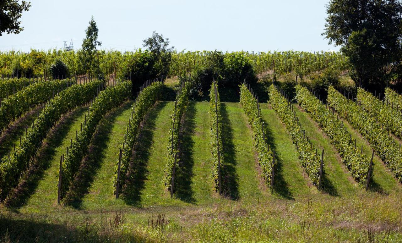 Cobue Wine Resort&spa